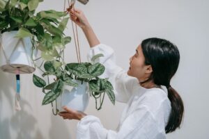 Side view of an Asian woman arranging hanging potted plants indoors.