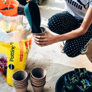 potting soil mix bag garden plant — DigiKoder Plantes